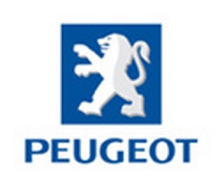 reparatii-reconditionari-vanzari-turbosuflante-peugeot